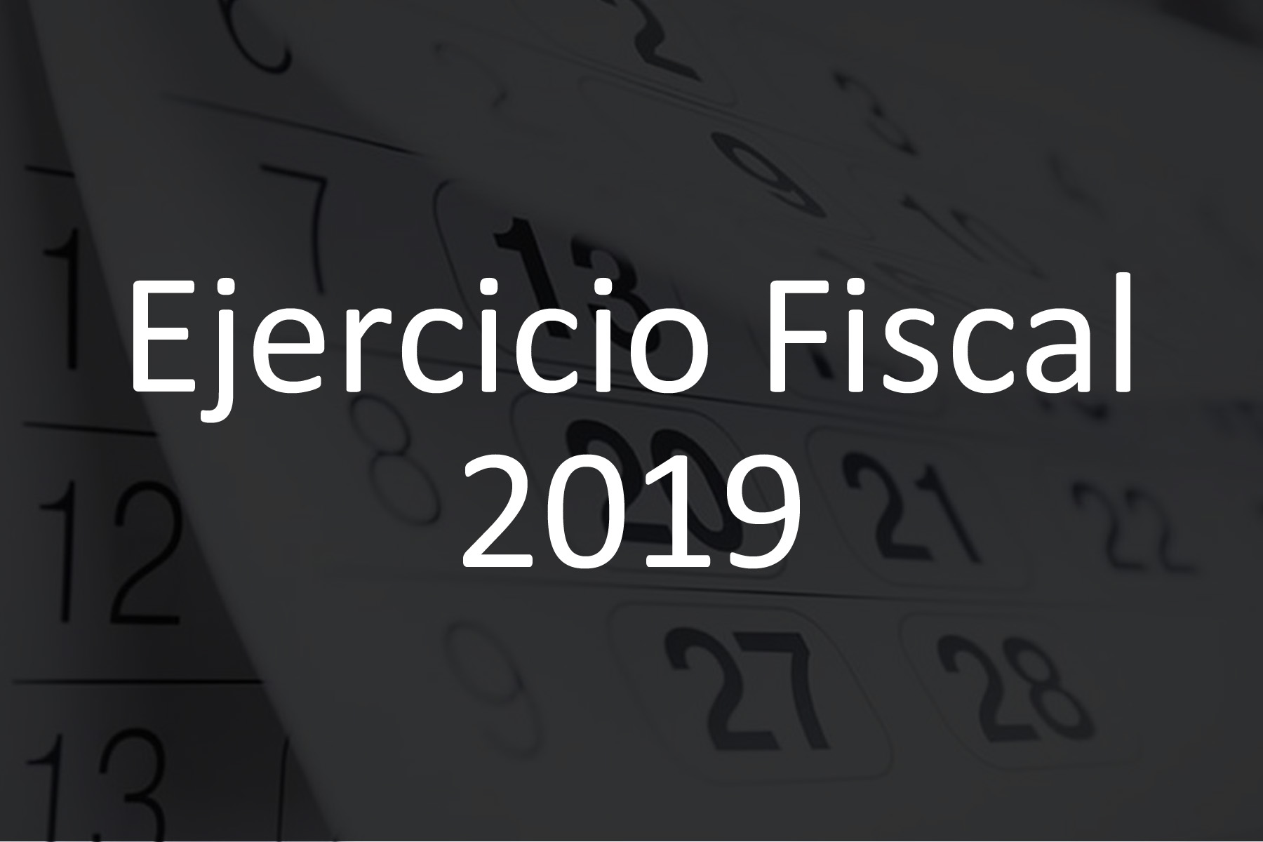 Ejercicio Fiscal 2019