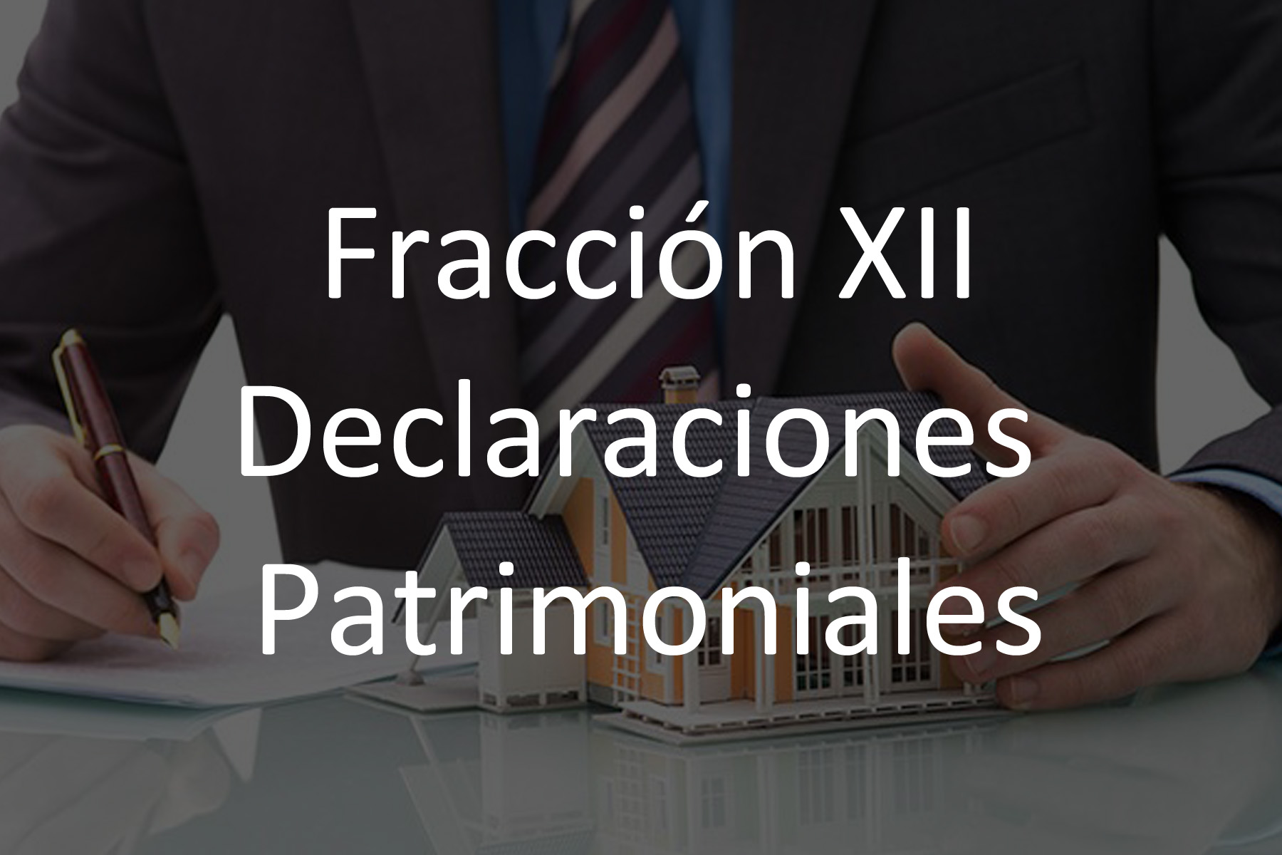 Fracción XII Declaraciones Patrimoniales