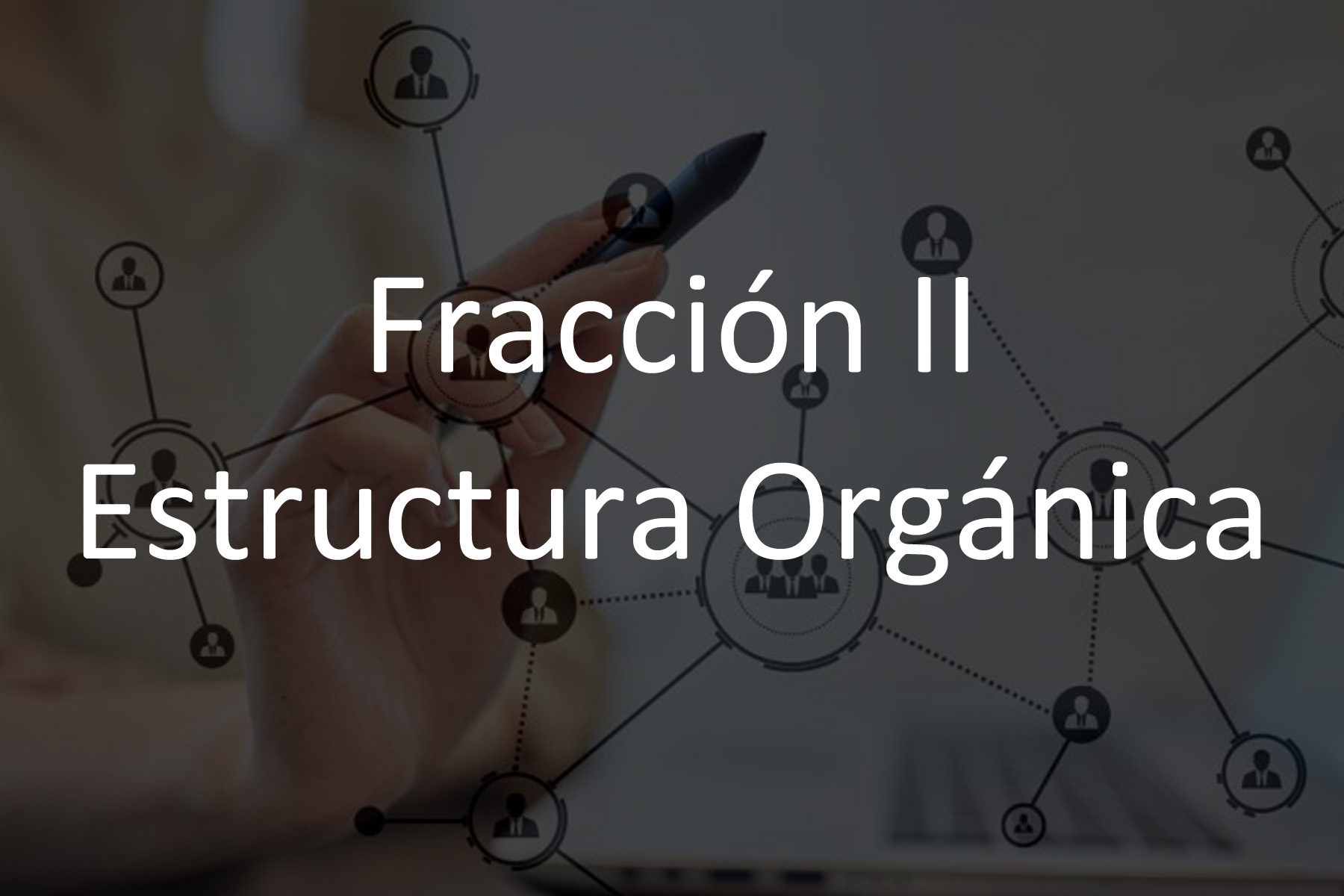 Fracción II Estructura Orgánica