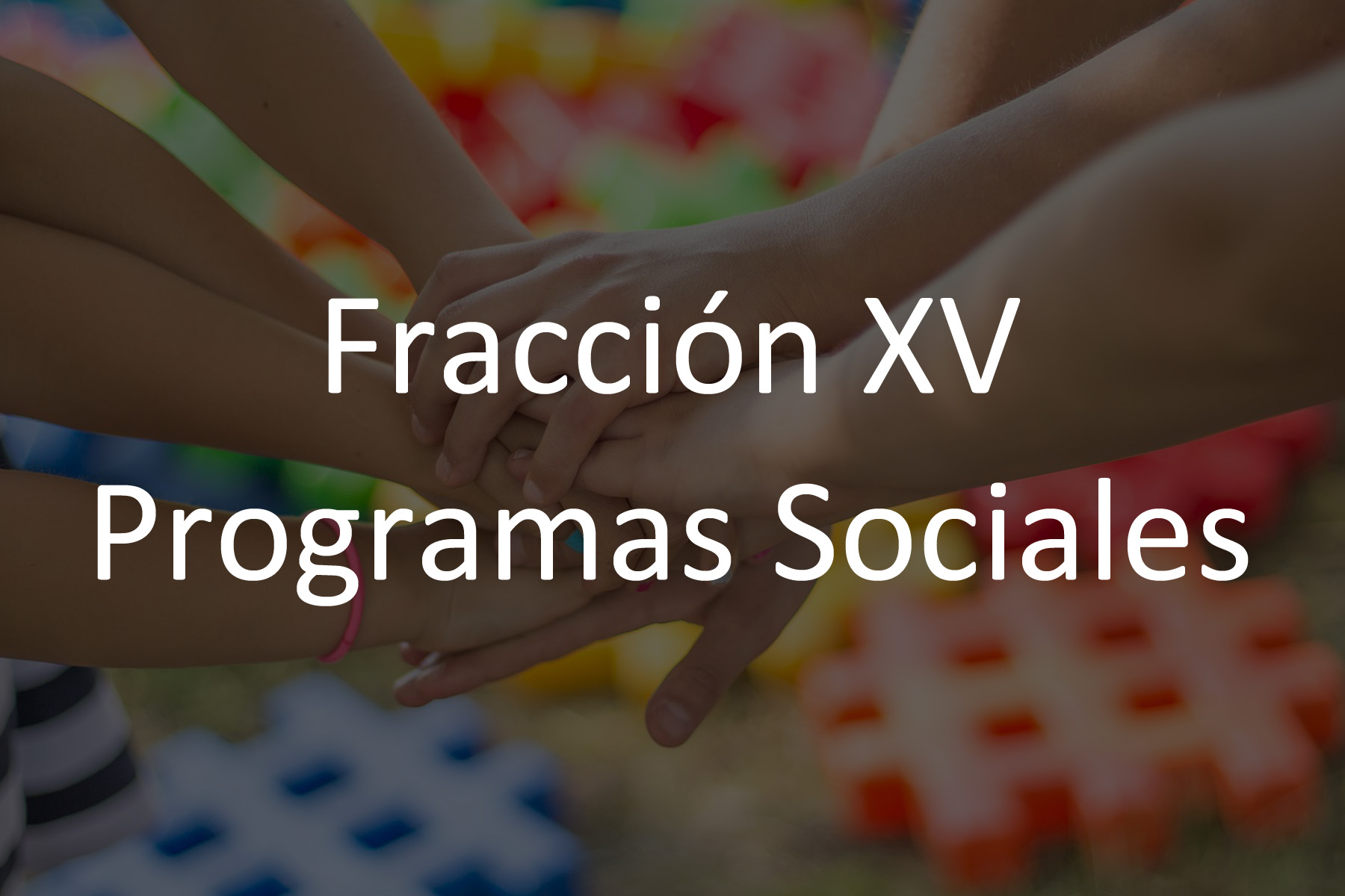 Fracción XV Programas Sociales