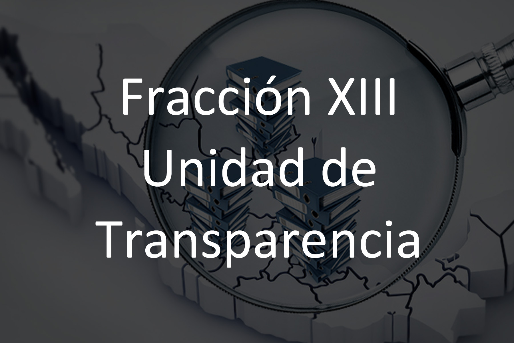 Fracción XIII Unidad de Transparencia