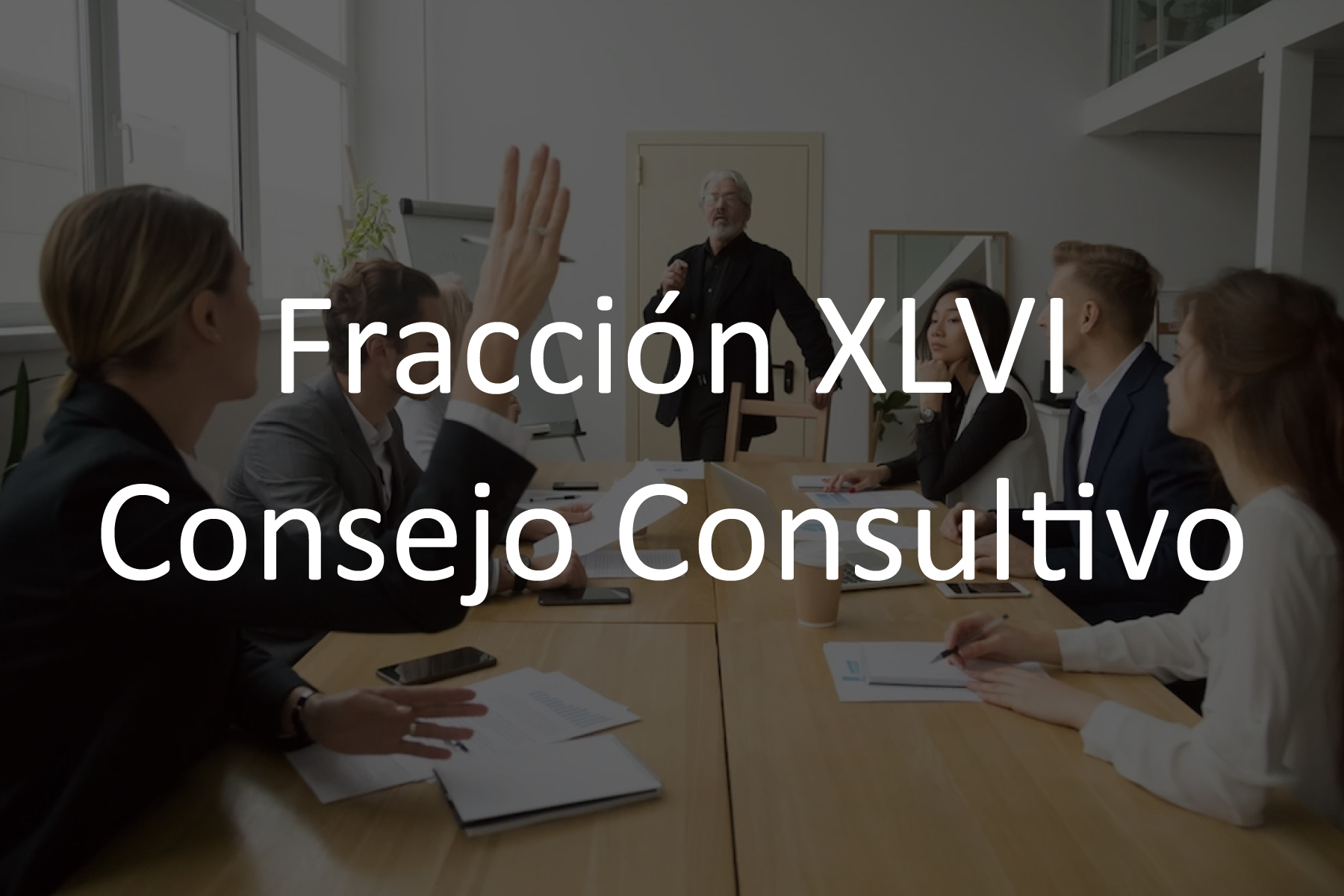 Fracción XLVI Consejo Consultivo