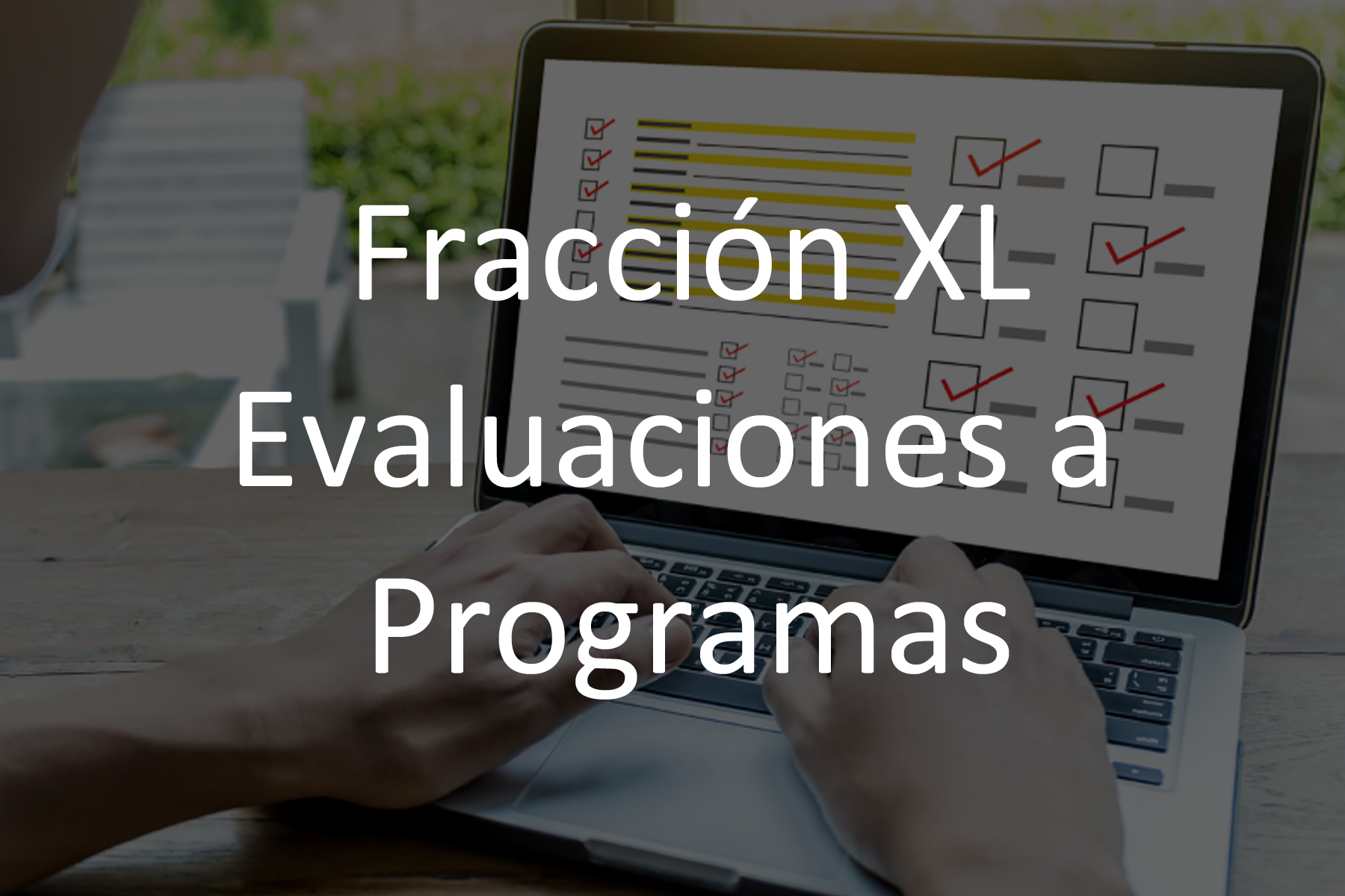 Fracción XL Evaluaciones y Encuestas a Programas