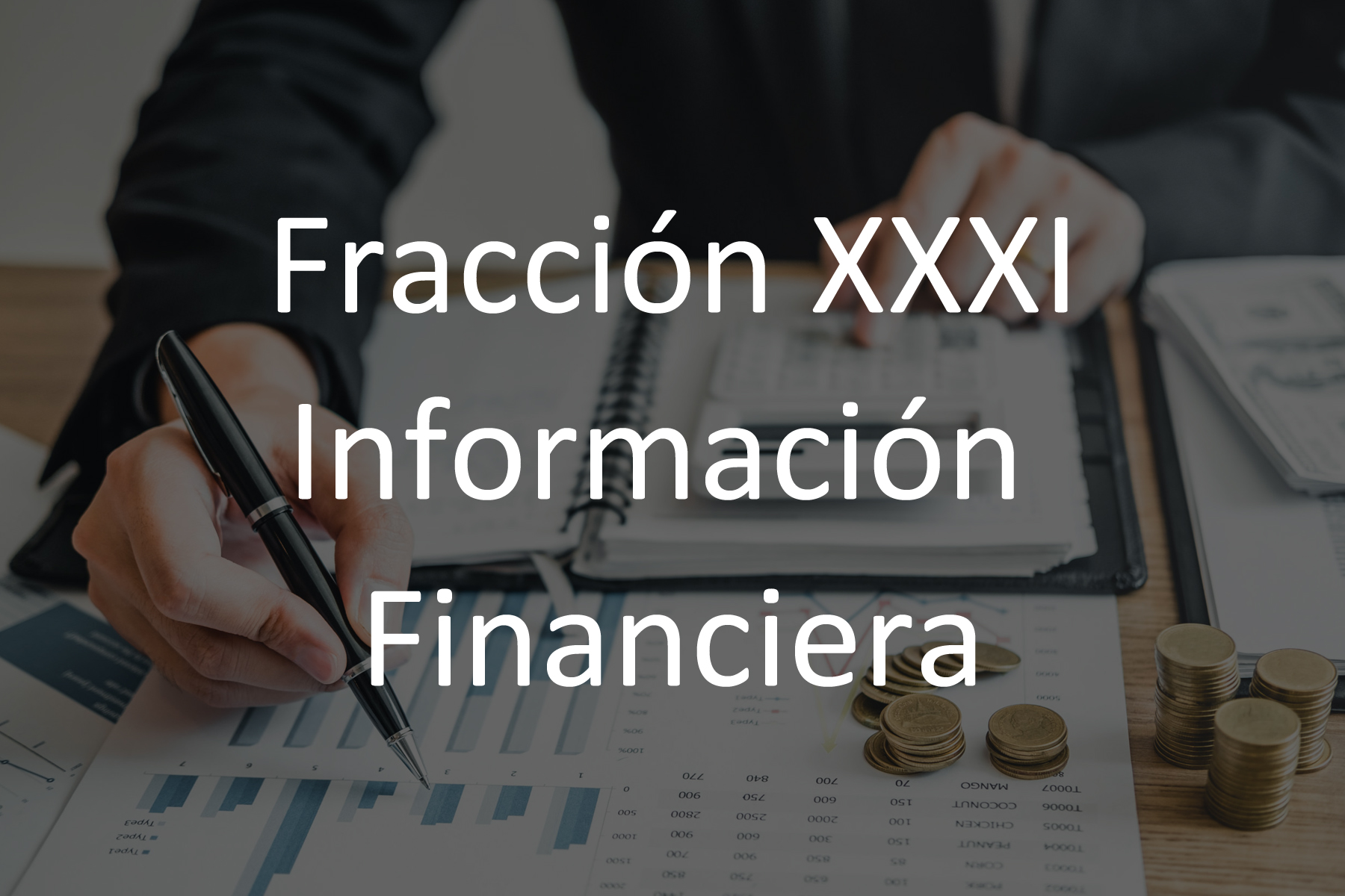 Fracción XXXI Información Financiera