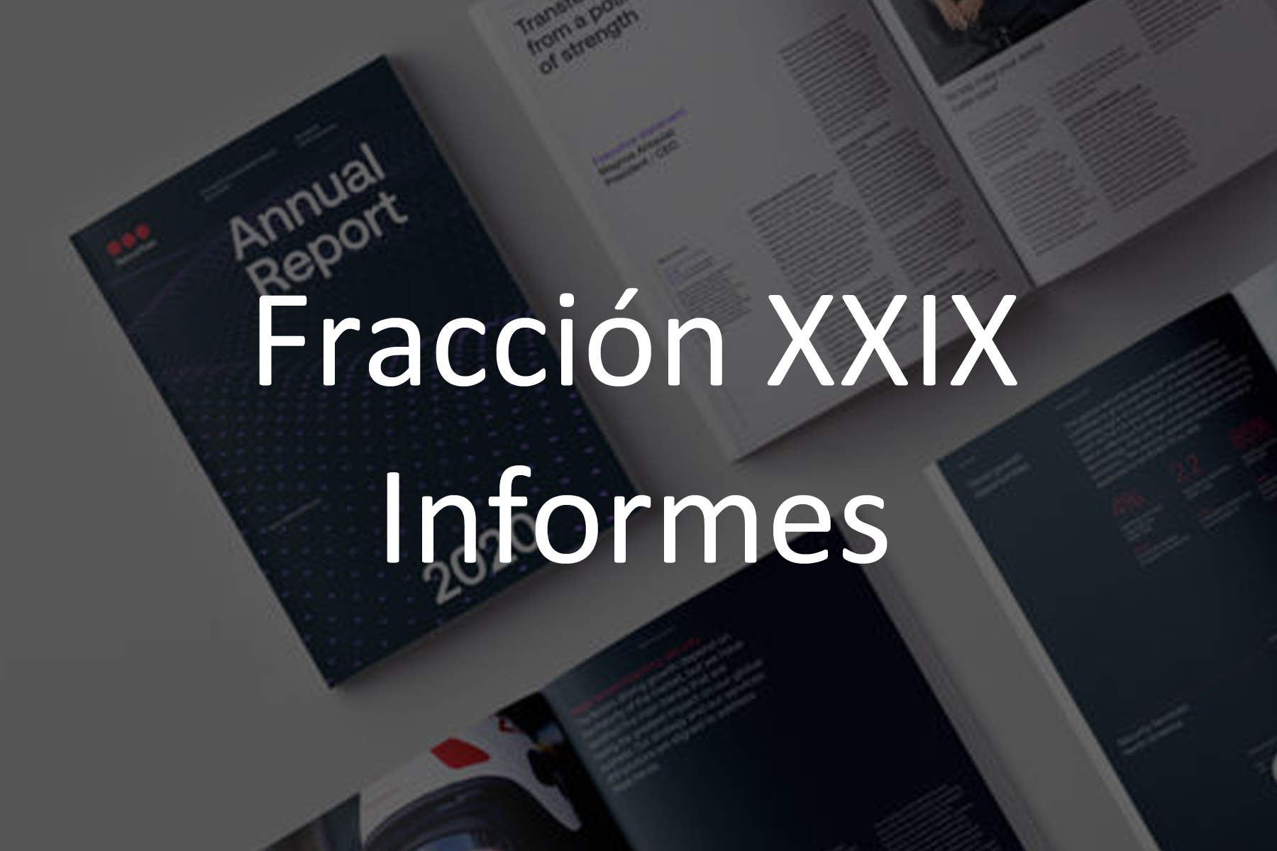 Fracción XXIX Informes