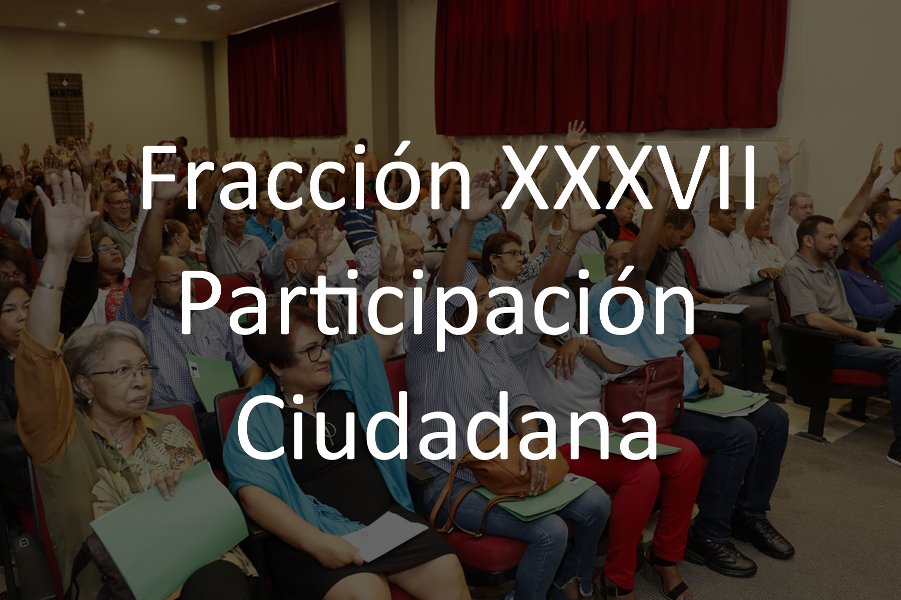 Fracción XXXVII Mecanismos de Participación Ciudadana