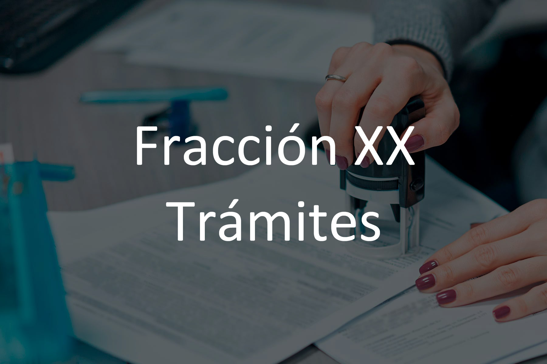 Fracción XX Trámites