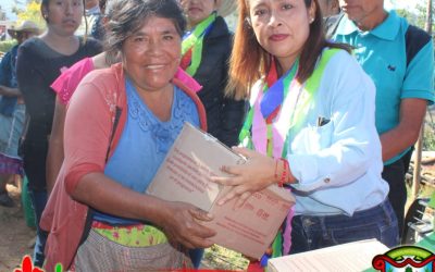 Entrega DIF Municipal despensas en Buenavista de las Pilas