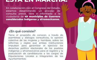 Consulta Indigena y Afro Guerrero 2023