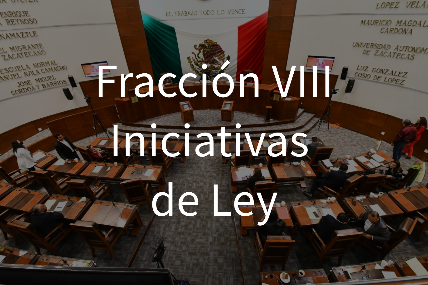 Fracción VIII Iniciativas de ley